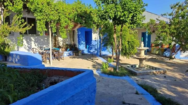 Gite El Houmar Tanakoub エクステリア 写真